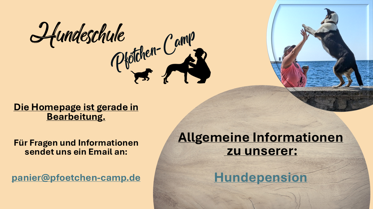 Hundeschule Bild