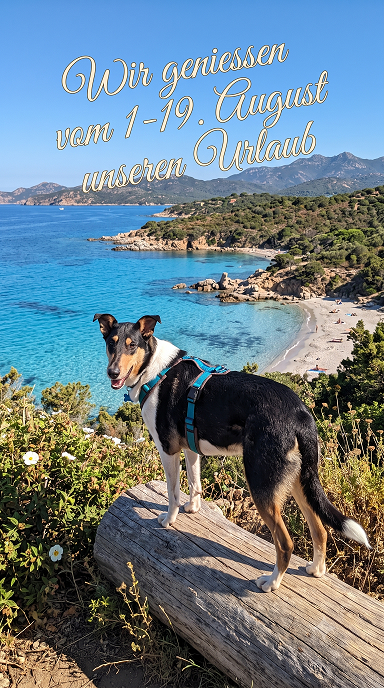 Urlaub Pfötchen-Camp