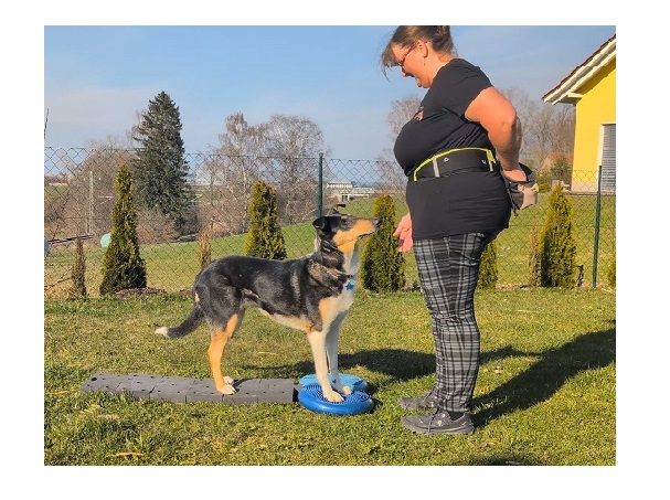 Fitness-Übung Pad zu Pad 1