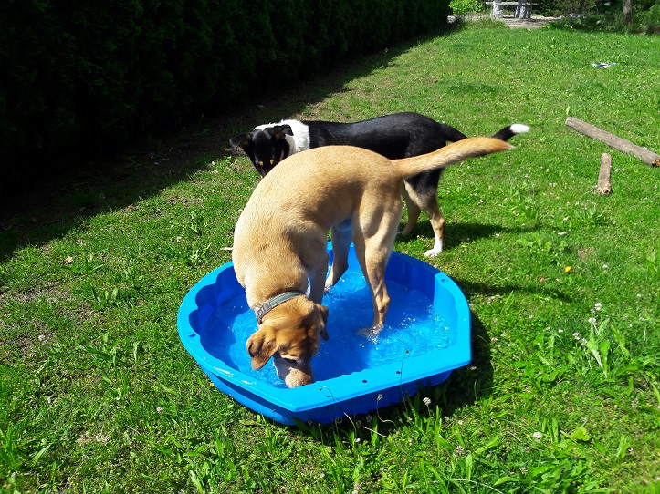 Prinz im Wasser