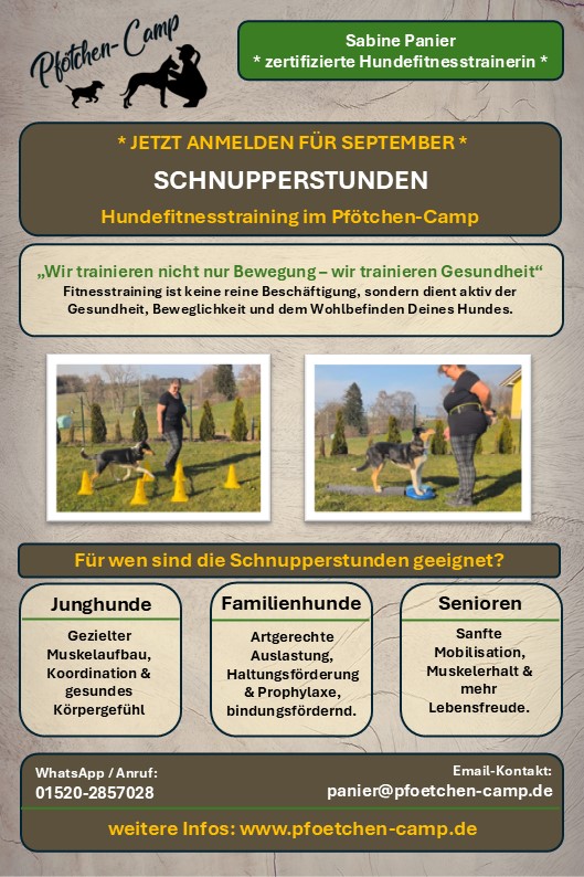 Schnupperstunden Fitnesstraining