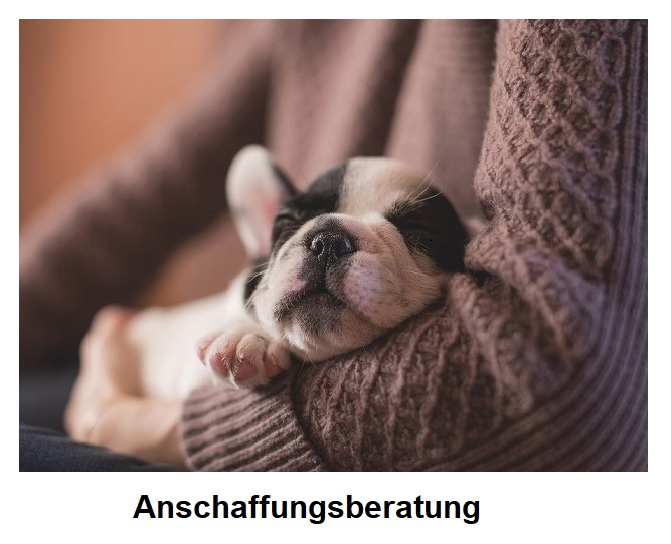 Gruppenbild