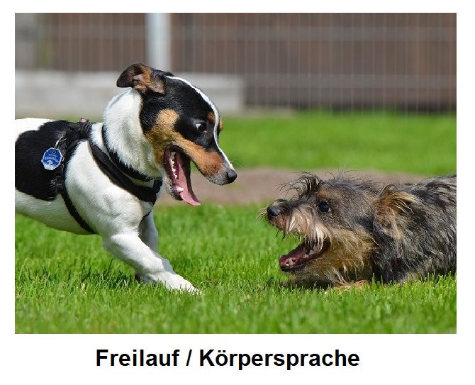Gruppenbild