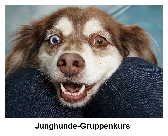 Gruppenbild