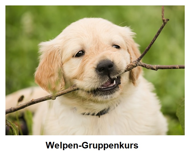 Gruppenbild